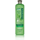 Naturalis vlasový šampon Common Nettle Kopřiva 1000 ml