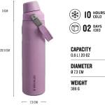 STANLEY Бутилка за вода iceflow fast flow 0, 7l (10-12515-004)
