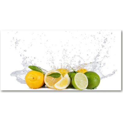 Foto obraz sklo tvrzené Citrusy a voda 100x50 cm