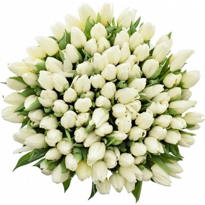 Míchaná kytice 100 bílých tulipánů ADRIANE 30 cm