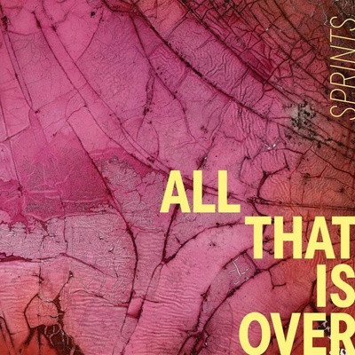 Sprints - All That Is Over LP