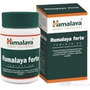 Doplnky stravy Himalaya Rumalaya Forte 60 tabliet