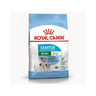 Royal Canin Mini Starter Mother & Babydog 1 kg granule pre šteňatá do 3 týždňov, gravidné a dojčiace suky