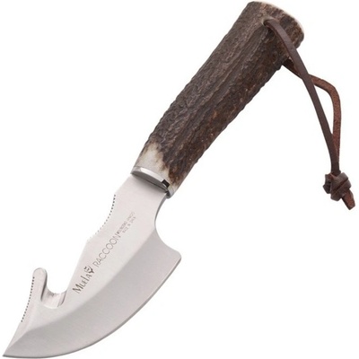 Muela Raccoon 8 A