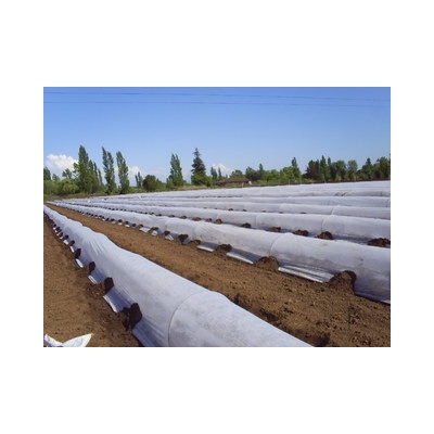 Agrotex Zakrývací netkaná textilie 3,2 x 100 m 19 g/m²