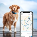 Tractive GPS DOG (2019) TRDOG1