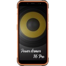 Ulefone Armor 17 Pro 8GB/256GB Black