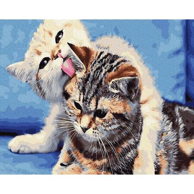 Norimpex - Puzzle Diamant painting: Cat friendship 30x40cm - 1 - 39 piese