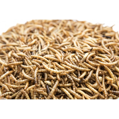 UGF sušený múčny červ 10 kg