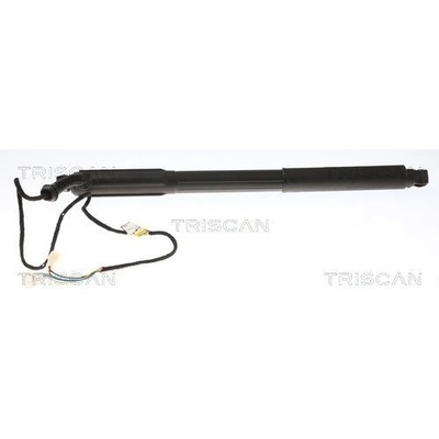 Pneumatická pružina kufor/úložný priestor TRISCAN 8710 11304
