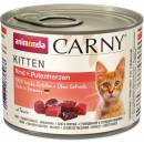 Krmivo pre mačky Animonda Carny Kitten hovädzie mäso srdcia 200 g