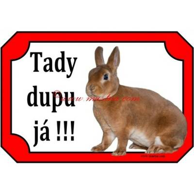 Cedulka králík zakrslý rex oranžový 2 - Se samolepicí vrstvou – Hledejceny.cz