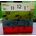Sentop 12D40175