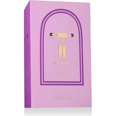 Hamidi The Dom Capitol parfémovaná voda pánská 100 ml