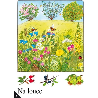 Soubor nástěnných obrazů pro prvouku ve 2. ročníku
