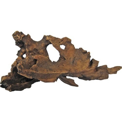 Macenauer Mangrowen Wurzel 22 cm