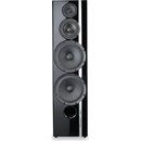 Acoustique Quality Passion Fever