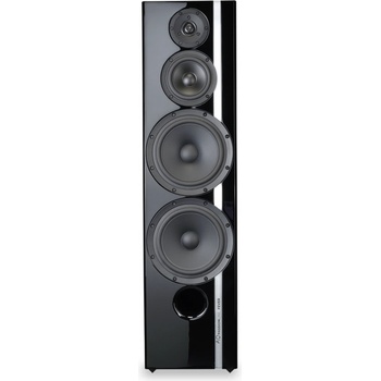Acoustique Quality Passion Fever