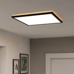 EGLO 901444- LED Плафон за баня ROVITO 17W/230V 50x50 см IP44 черен (EG901444)
