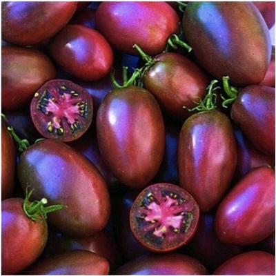 Paradajky - originálne semená 0,1 g