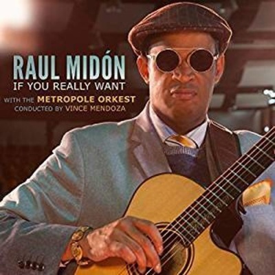 If You Really Want - Raul Midon CD
