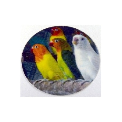 VIZINGR Agapornis MAXI logo L 2 č.67