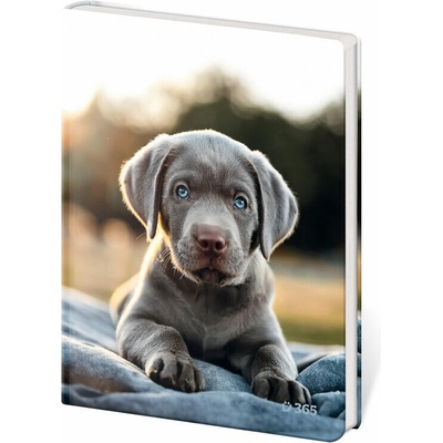 Stil Památník A5 13 x 18 cm čistý Pup