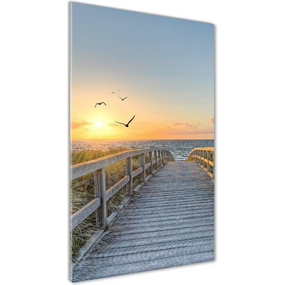 Vertikálny foto obraz sklenený Chodník na pláž 50x100 cm