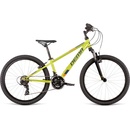 Dema Roxie 2022