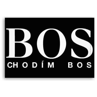 Fotoobraz 90x60 cm střední Bos