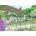 Ravensburger - Puzzle Secret Garden - 1 000 piese