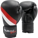 Fujimae Basic