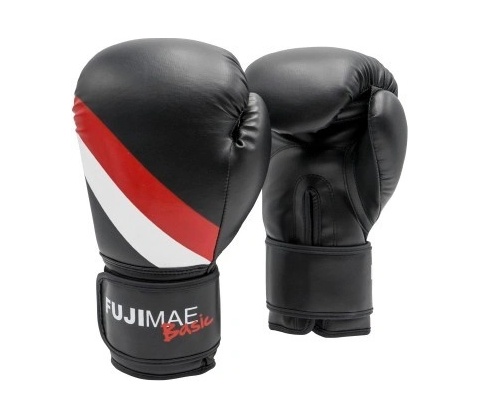Fujimae Basic