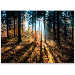 Styler Картина Glasspik , 70 x 100 cm Autumn Sunset - Styler (GL-01384)