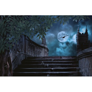 DIMEX ART s. r. o Флизелинов фототапет каменни стълби през нощта 375 x 250 см