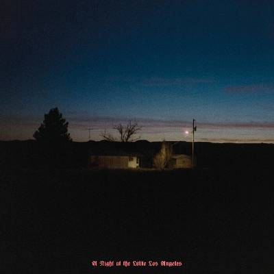 - A Night At The Little Los Angeles (LP) (0656605156514)