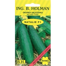 Uhorka šalátová Holman - Natalie F1 1,5 g