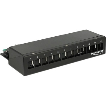 Delock 43339