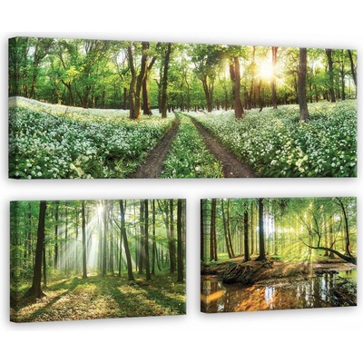 Postershop Obraz na plátně: Cesta lesem - set 1ks 80x30 cm a 3ks 37,5x24,8 cm