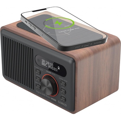 Carneo W100 – Hledejceny.cz