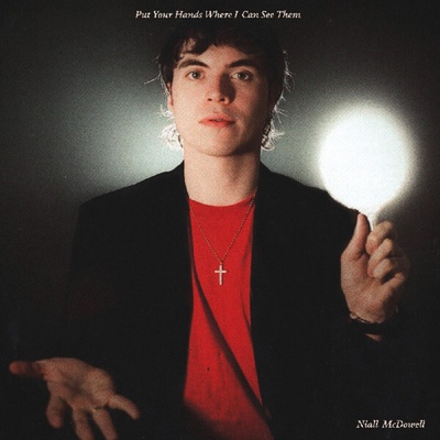 Niall Mcdowell - Put Your Hands Where I Can See Them (LP) (5065017129026)