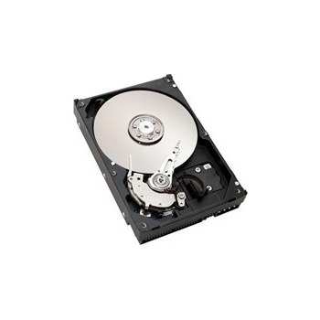 IBM 1TB, 3,5", 7200rpm, HS, 6Gb, NL, SAS, 42D0777