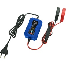 Compass 6Amp 6/12V