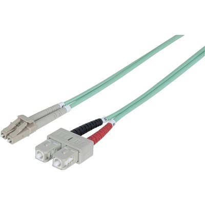 Intellinet 751094