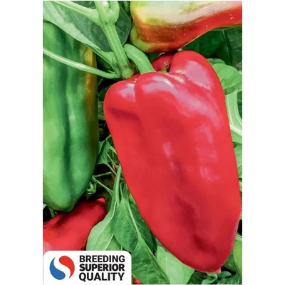 Superior Пипер Слонов крак Слонова Нога