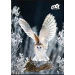 Victoria Тетрадка, с телбод, A4, обикновена, 80 страници, COOL BY VICTORIA "Wise Wings