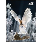 Victoria Тетрадка, с телбод, A4, обикновена, 80 страници, COOL BY VICTORIA "Wise Wings