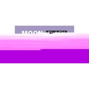 Tesa Moon Černá WC štětka s držákem