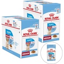 Royal Canin Medium Puppy 20 x 140 g