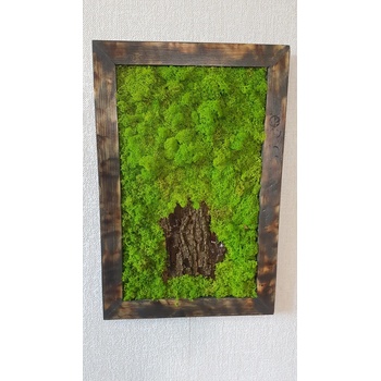 Machový obraz s prírodným drevom 70cm x 50cm